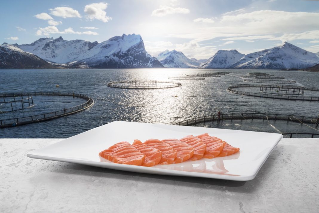 Norsk sjømat
